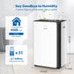 FreAire 54Pint Dehumidifier for 4500Sq.Ft, Compressor Dehumidifiers for Home, Front Humidity Value Display&Quiet Dehumidifier for Basement, Bedroom, Bathroom, with Drain Hose, 1.13 Gallon Water Tank